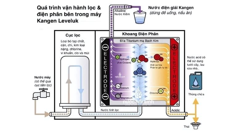 Quy trình lọc nước của máy ion kiềm Kangen K8