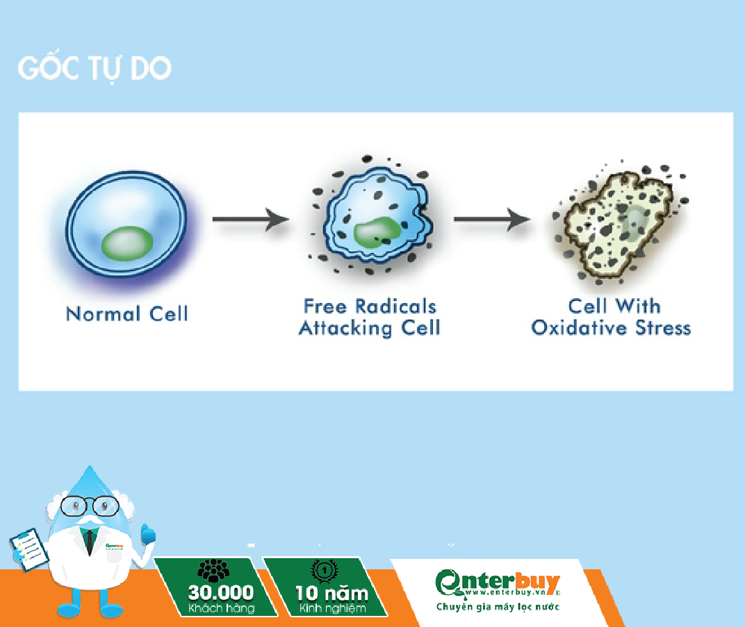 [Thư viện Chuyên Gia]Gốc tự do(free radical) là gì? Ảnh hưởng tới sức khỏe như thế nào