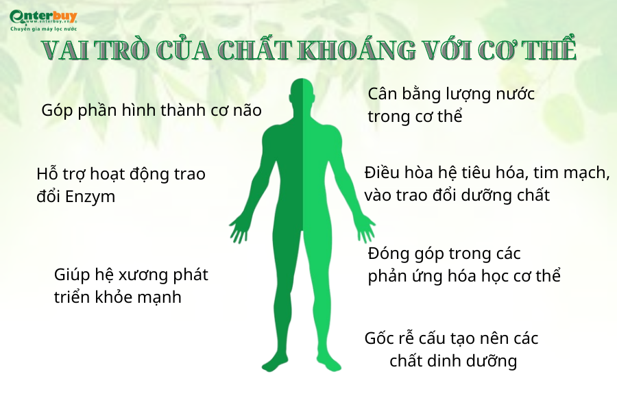 vai-tro-cua-khoang