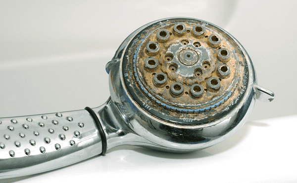 can-canxi-voi-sen