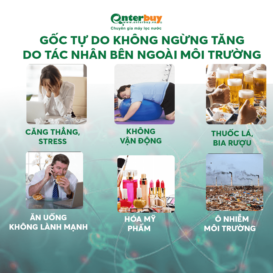 GỐC TỰ DO LUÔN KHÔNG NGỪNG TĂNG DOTÁC NHÂN BÊN NGOÀI MÔI TRƯỜNG