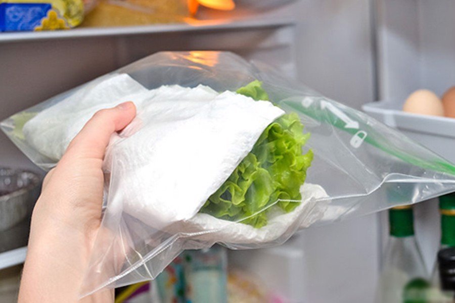 Cách bảo quản rau củ trong tủ lạnh