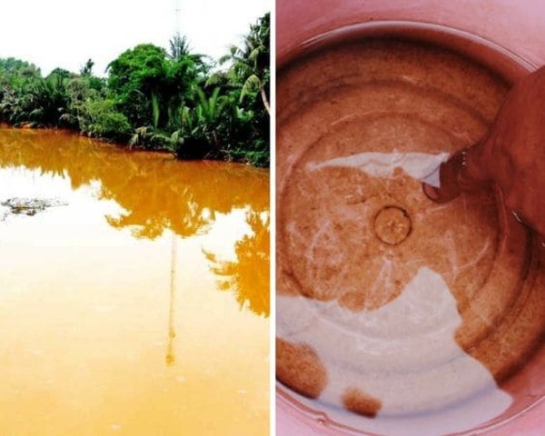 Nước bị nhiễm phèn.