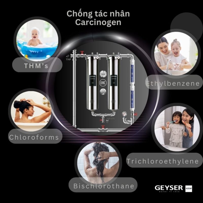 Hệ thống lọc nước tổng đầu nguồn Geyser Ecotar 2F2A