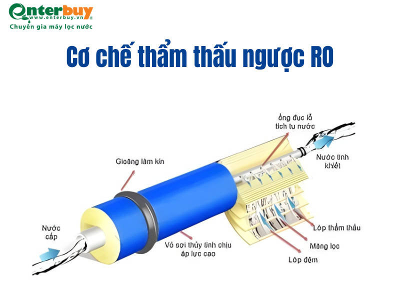 Cơ chế thẩm thấu ngược của RO