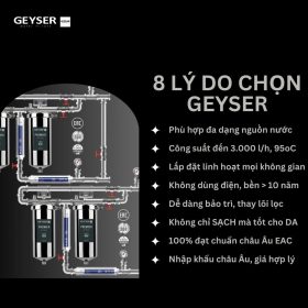 Lọc tổng đầu nguồn âm trần cao cấp cho Penthouse Geyser Ecotar 4F4As