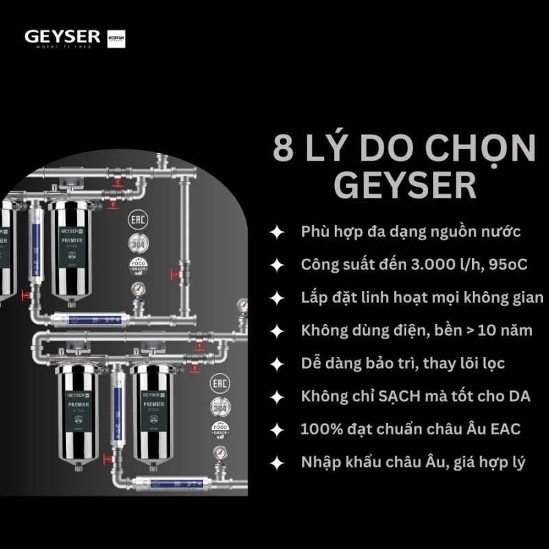 Lọc tổng đầu nguồn âm trần cao cấp cho Penthouse Geyser Ecotar 4F4As