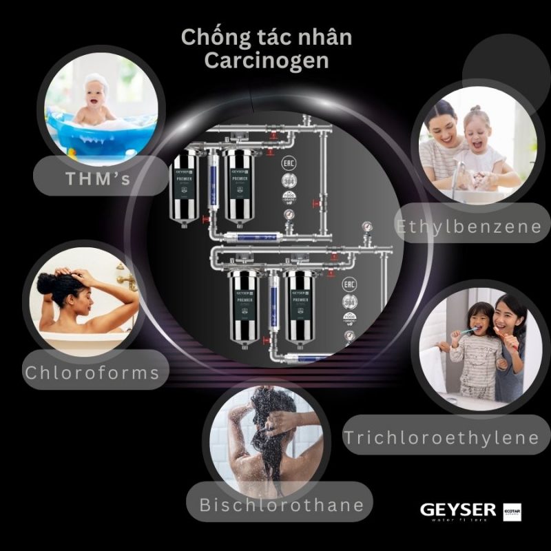 Lọc tổng đầu nguồn âm trần cao cấp cho Penthouse Geyser Ecotar 4F4As