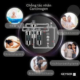 Lọc tổng đầu nguồn âm trần cho căn hộ chung cư Geyser Ecotar 2F1As