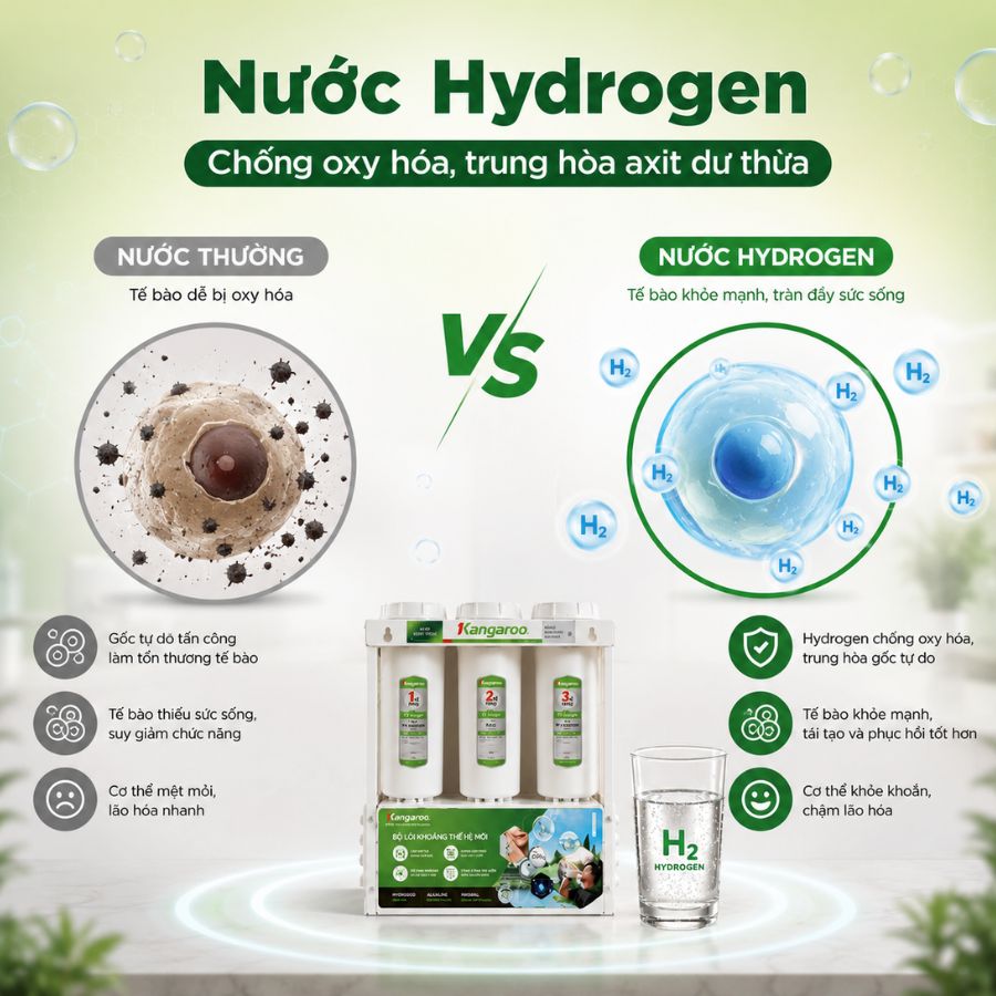 Nước Hydrogen - Chống oxy hóa, trung hòa axit dư thừa